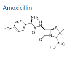 Amoxicillin